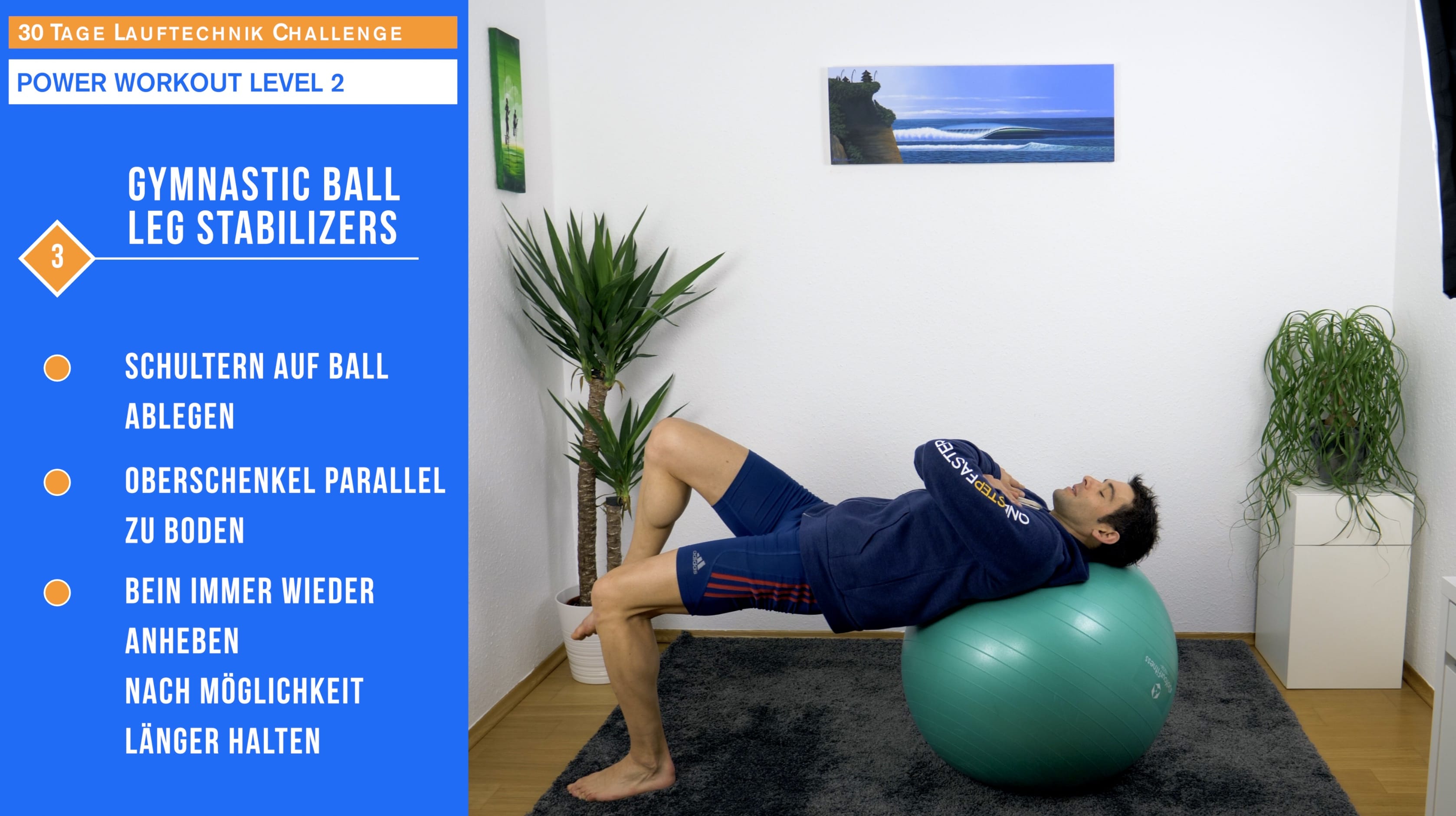 Gymnastic Ball Leg Stabilizers